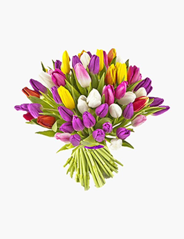 Param olsa da ben ALSAM